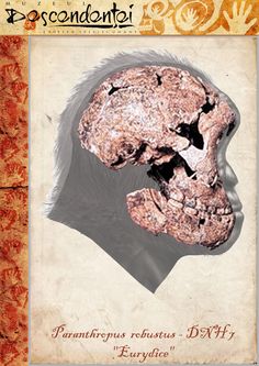 an image of a human head with the words pantherophys rehabutus dmh on it