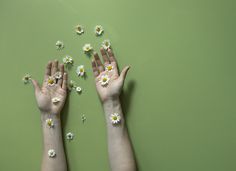 two hands reaching up towards daisies on a green surface