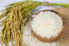 white rice in a wooden bowl next to stalks of wheat