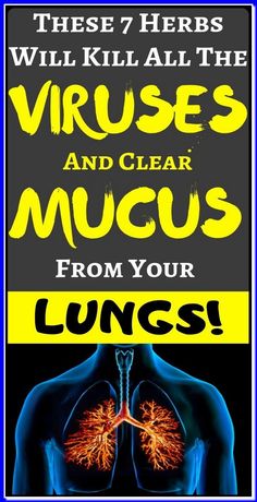 Clear Mucus, Medicine Book, Alternative Medicine, Herbal Medicine, Diet Tips, Herbal Remedies, Healthy Tips