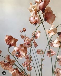 a vase filled with pink flowers on top of a table