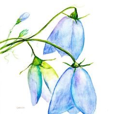 watercolor painting of blue flowers with green stems