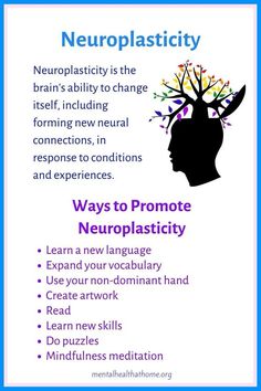 Neuroplasticity Exercises, Nervus Vagus, Brain Based Learning, Neural Connections, Mental Health Facts, Psychology Student