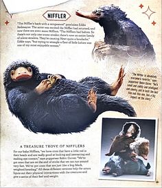 an advertisement for the movie niffler with pictures of animals and people in it