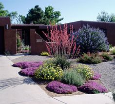 a garden with purple and yellow flowers in front of a brown building