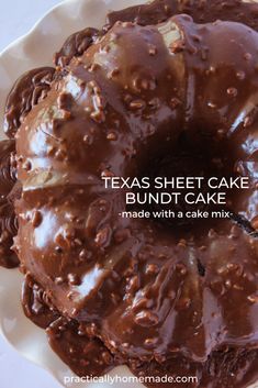 a bundt cake covered in chocolate frosting on a white plate with the words texas sheet cake made with a cake mix