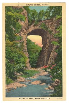 an old postcard shows a river and bridge in the woods with trees on either side