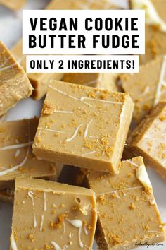 vegan cookie butter fudge on a plate with text overlay that reads, only 2 ingredients