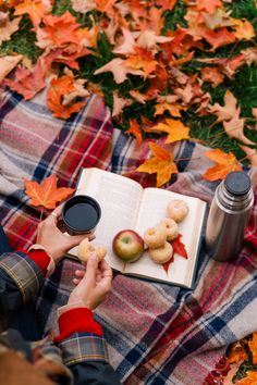 a person sitting on a blanket with an open book and some donuts in front of them