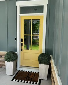 two potted plants are sitting on the front porch steps next to a yellow door