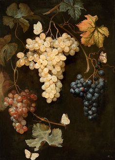 a painting of grapes and leaves on a black background