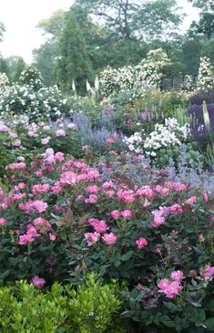 a garden filled with lots of pink and white flowers