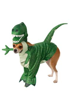 a dog dressed in a dinosaur costume