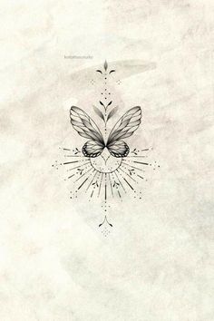 a drawing of a butterfly with sunbursts on it's back side