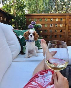 a person holding a glass of wine with a dog sitting on the couch behind them