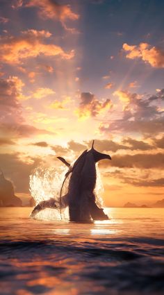 an animal jumping out of the water at sunset