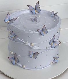 there is a white cake with blue butterflies on the top and pearls around the edges