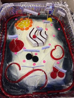 a birthday cake in the shape of a doctor's stethoscope and medical instruments