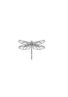 a black and white drawing of a dragonfly