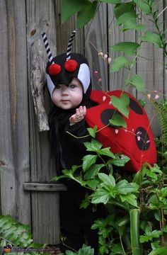 a baby dressed up as a ladybug peeking out from behind a wooden fence