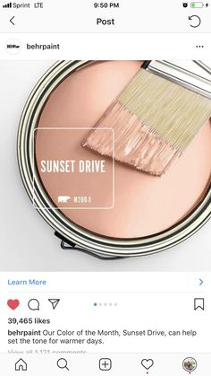 the instagram page on instagram com shows an image of a pink paint can