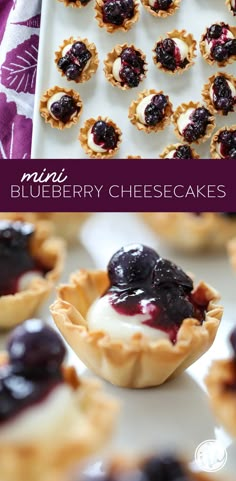 mini blueberry cheesecakes are ready to be eaten