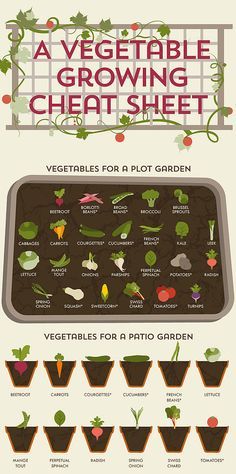 the vegetable growing chart is shown in this graphic style, and includes vegetables for a plot garden