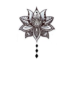 a drawing of a lotus flower on a white background