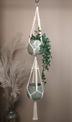 two hanging planters with plants in them on a shelf next to a potted plant