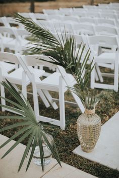 a plant in a vase sitting next to white chairs on the grass at a wedding