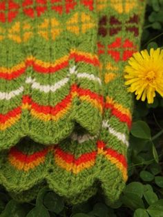 Knitted with five colored yarn in traditional Estonian fair-isle style.  The yarns are hand dyed in Estonia, 100% wool. Tightly knitted using 0-size needles and DK-weight yarn, they are perfect to block wind and wear in winter. This pattern is also quite widely spread in Seto area in South-East corner of Estonia. The cuff is nicly lacy to give this pair an elegant look. Women's size, also available for custom order in any sizes. Bohemian Green Knitted Knitting Pattern, Bohemian Green Knitting Pattern, Multicolor Hand Knitted Nordic Pattern, Nordic Multicolor Hand Knitted Patterns, Nordic Fair Isle Knitting Pattern, Multicolor Nordic Fair Isle Pattern, Nordic Fair Isle Multicolor Pattern, Hand Knitted Green Knitting Pattern, Green Yarn Knitting Pattern