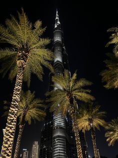 palm trees in front of the burj building at night