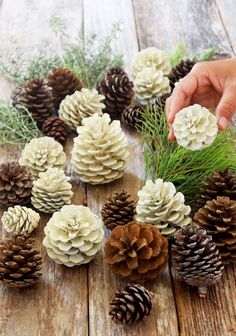 pine cones and evergreen needles are arranged on a wooden surface, with one hand reaching for them