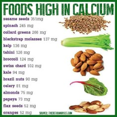 Yummy plant based foods high in calcium High Calcium, Healthy Bones, Fat Loss Diet, Food Facts, Healthy Pregnancy