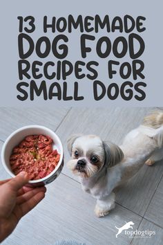 a small dog standing next to a bowl of food with the title 13 homemade dog food recipes for small dogs