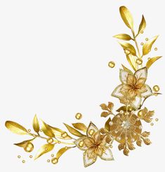 an image of gold flowers and leaves on a white background with drops of water in the foreground