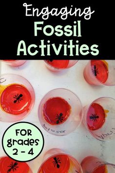 the cover of engaging fossil activities for grade 2 - 4 with text overlaiding