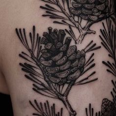 a pine cone tattoo on the back of a woman's shoulder