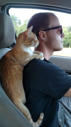 a cat sitting on the arm of a man in a car