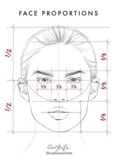 the face proportion is shown in red and white