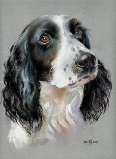 a drawing of a black and white dog