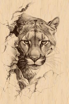 Wood Engraving Art, Lioness Face Drawing, Animal Wood Burning, Animal Pyrography, Wood Burned Animals, Mountain Lion Sketch, Wildlife Pyrography, Leopard Drawing, Wood Burning Art Tiger