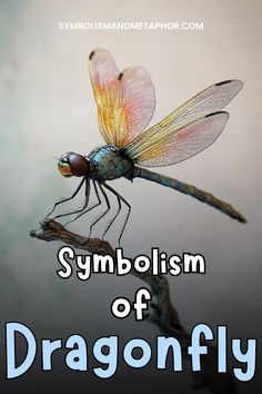 a dragonfly sitting on top of a branch with the words symboism of dragonfly