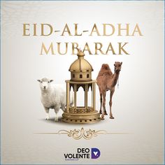 the eid - al - adha mubarak is written in arabic and features two camels