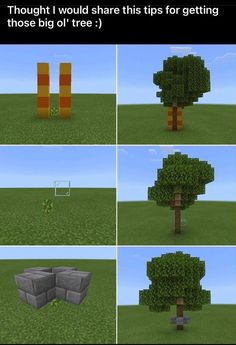 the different views of a tree in minecraft, and how it looks like they have been