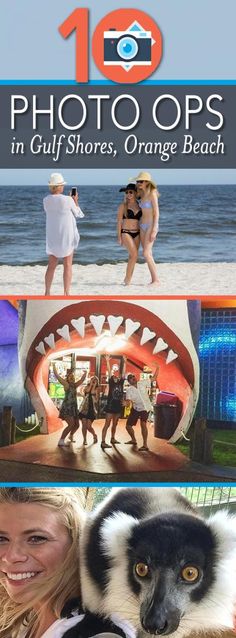 an advertisement for the orange beach photo opps in gulf shores, orange beach with pictures of people and animals