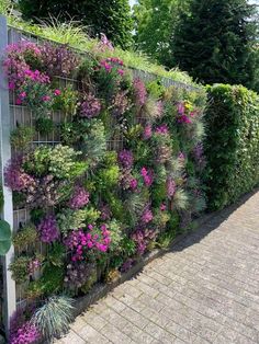 an outdoor garden with purple flowers growing on the side of a fence and brick walkway