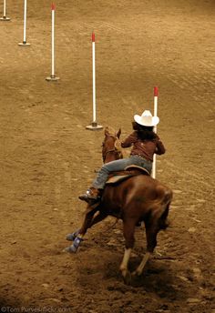 a man riding on the back of a brown horse next to white poles in an arena