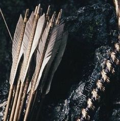 two arrows are on the ground next to some rocks