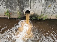 water coming out of a pipe into a body of brown water with green plants growing on the side